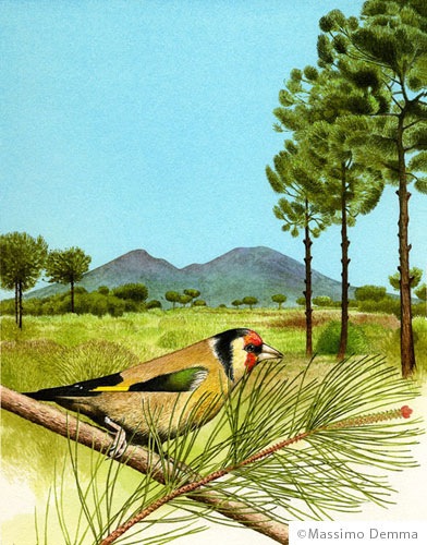 Loading Image